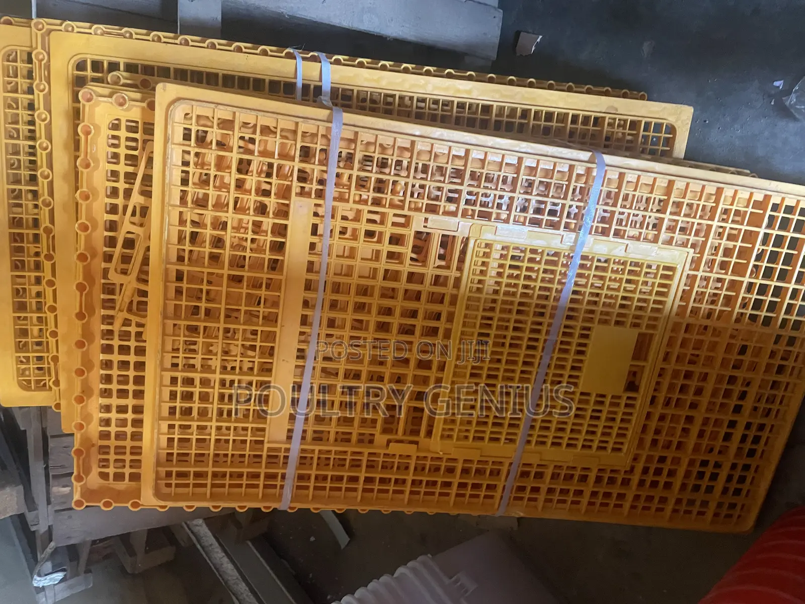 Transfer Crates