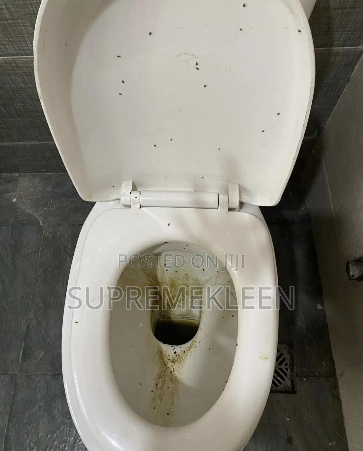 Toilet Detailed Cleaning Service Send A Dm For Booking