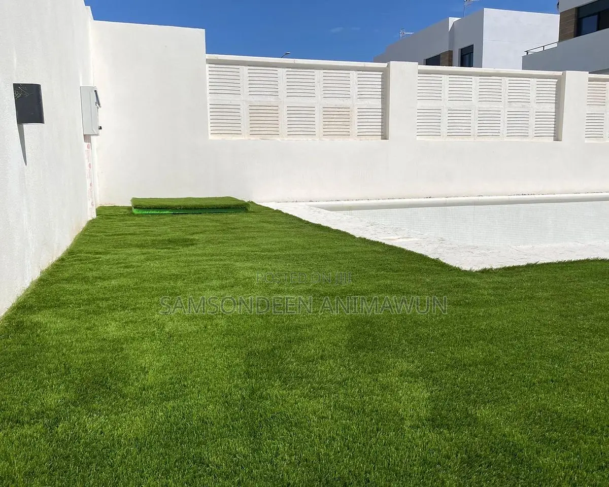 Swimming Pool Artificial Grass