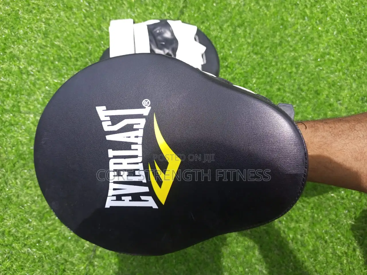 Fairly Used Everlast Boxing Pads , Boxing Mitt's or Coach Pads