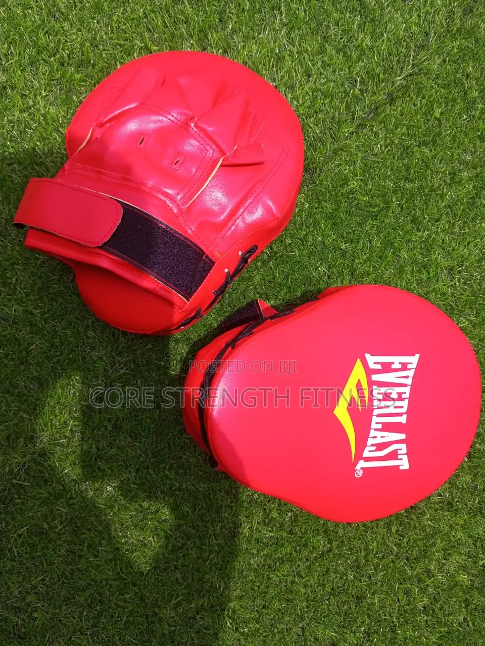 Fairly Used Everlast Boxing Pads , Boxing Mitt's or Coach Pads