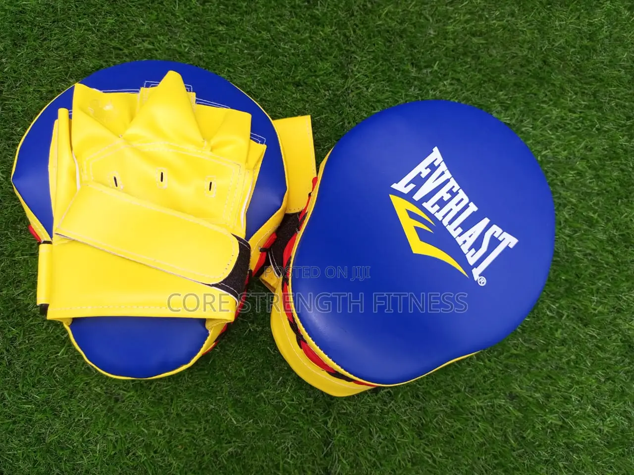 Fairly Used Everlast Boxing Pads , Boxing Mitt's or Coach Pads