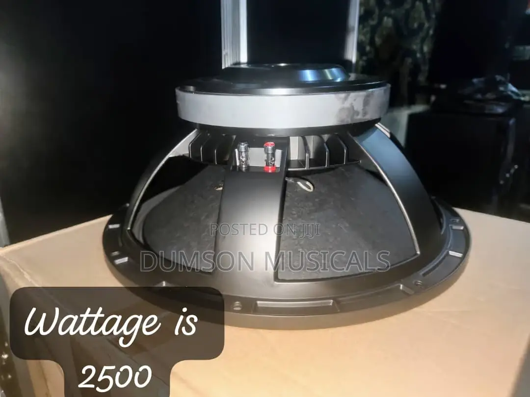 Sound Prince 15 Inches Naked Speaker 2500watts