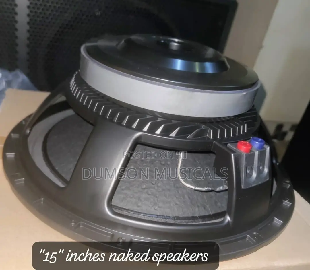 Sound Prince 15 Inches Naked Speaker 2500watts