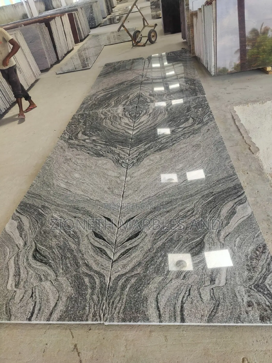 Indian Viscoin White Granite Slab
