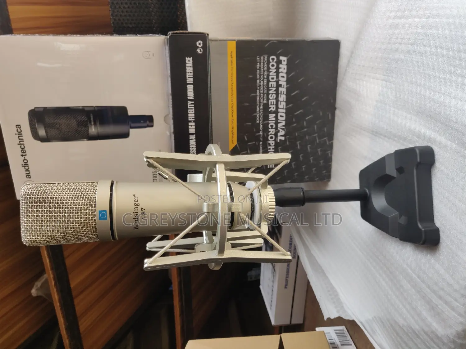 U87 Recording Mic
