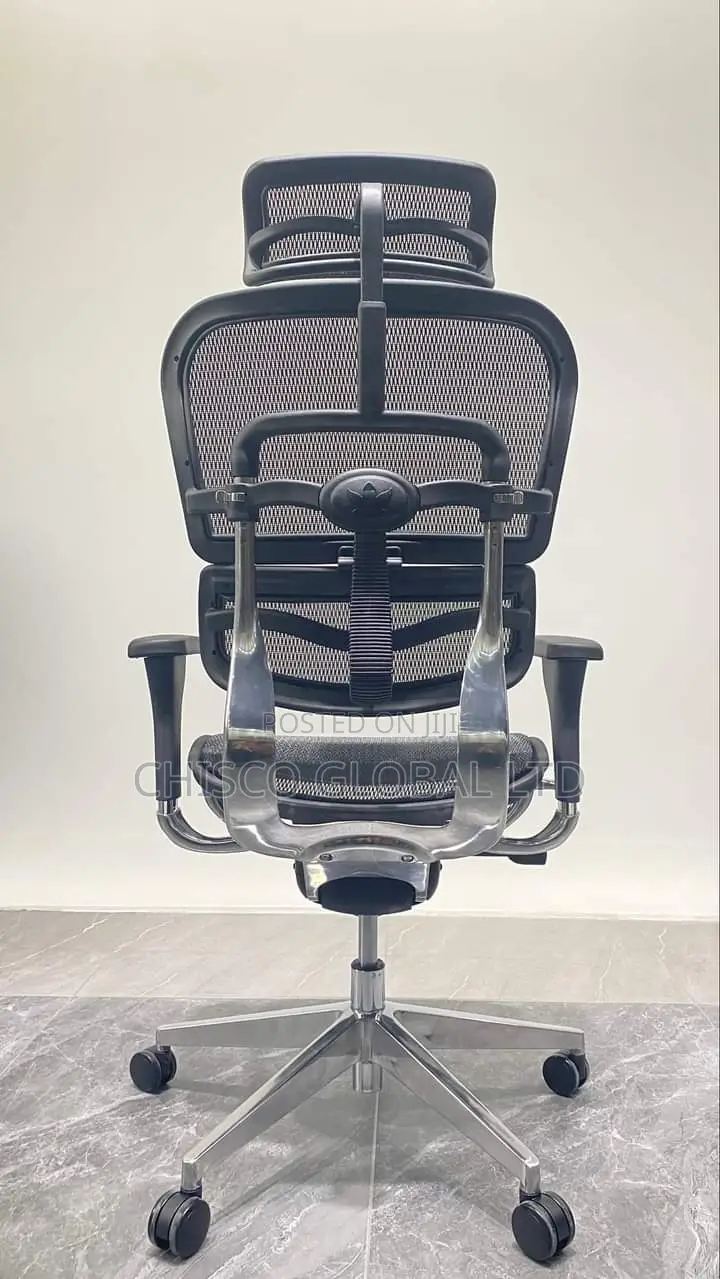 Office Chair (Orthopedic)