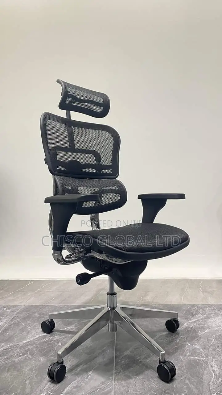 Office Chair (Orthopedic)