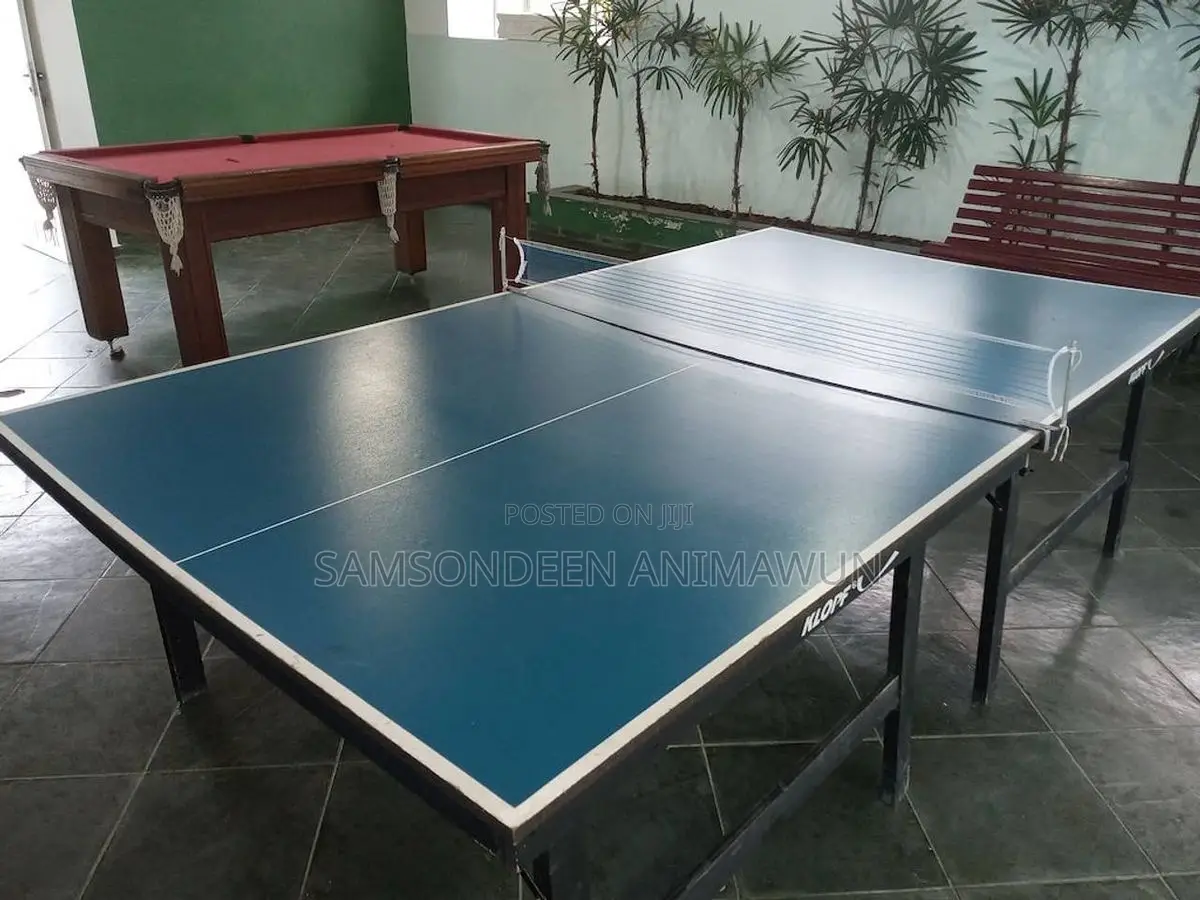 Outdoor Table Tennis (Free ACCESSORIES)