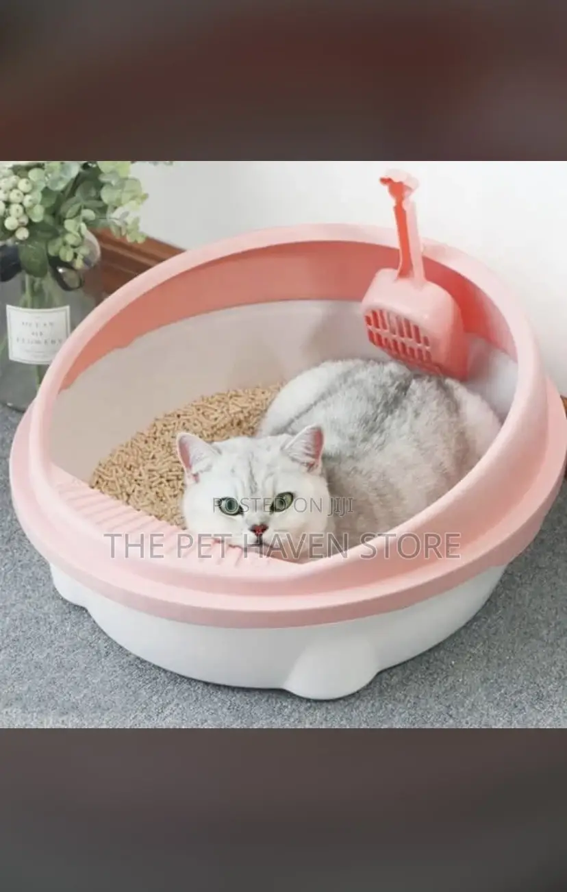 Cat Liter for Cat Both Puppies and Adults Cat