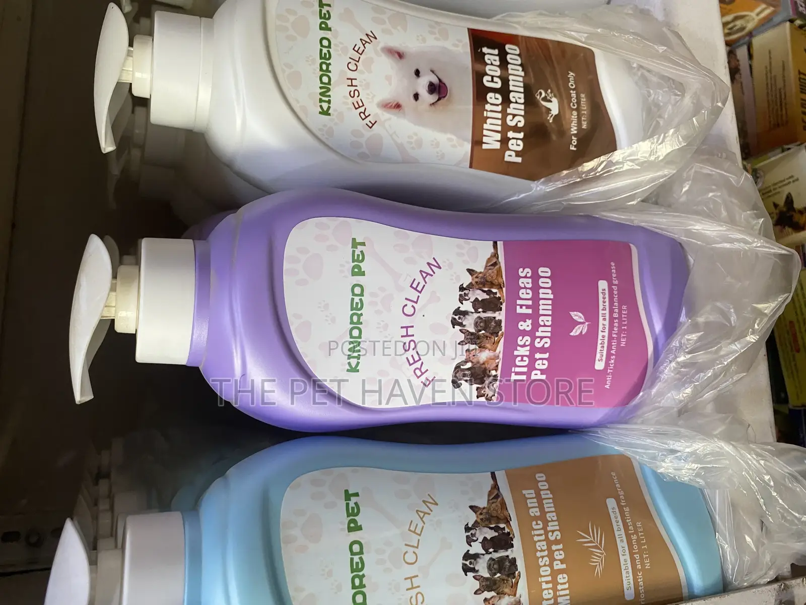 Kindred Shampoo