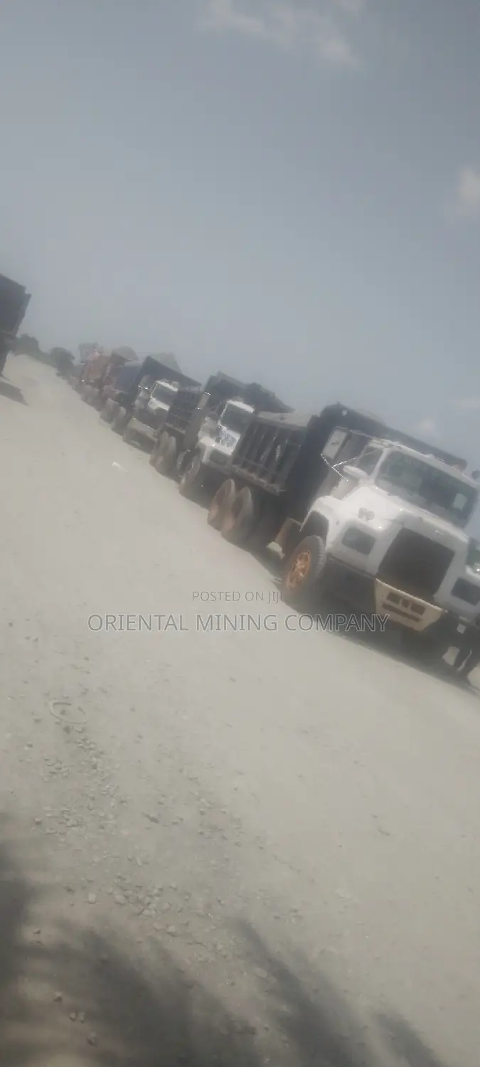 Iron Chippings From Oriental Mining Company
