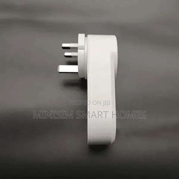 13A Smart Plug With 2 USB Port