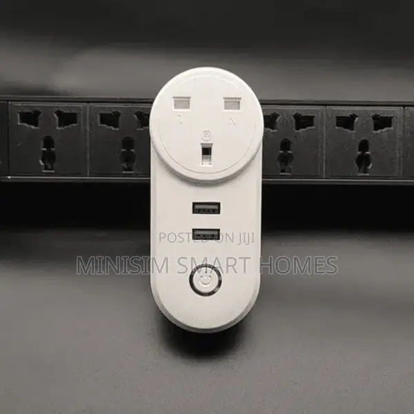 13A Smart Plug With 2 USB Port