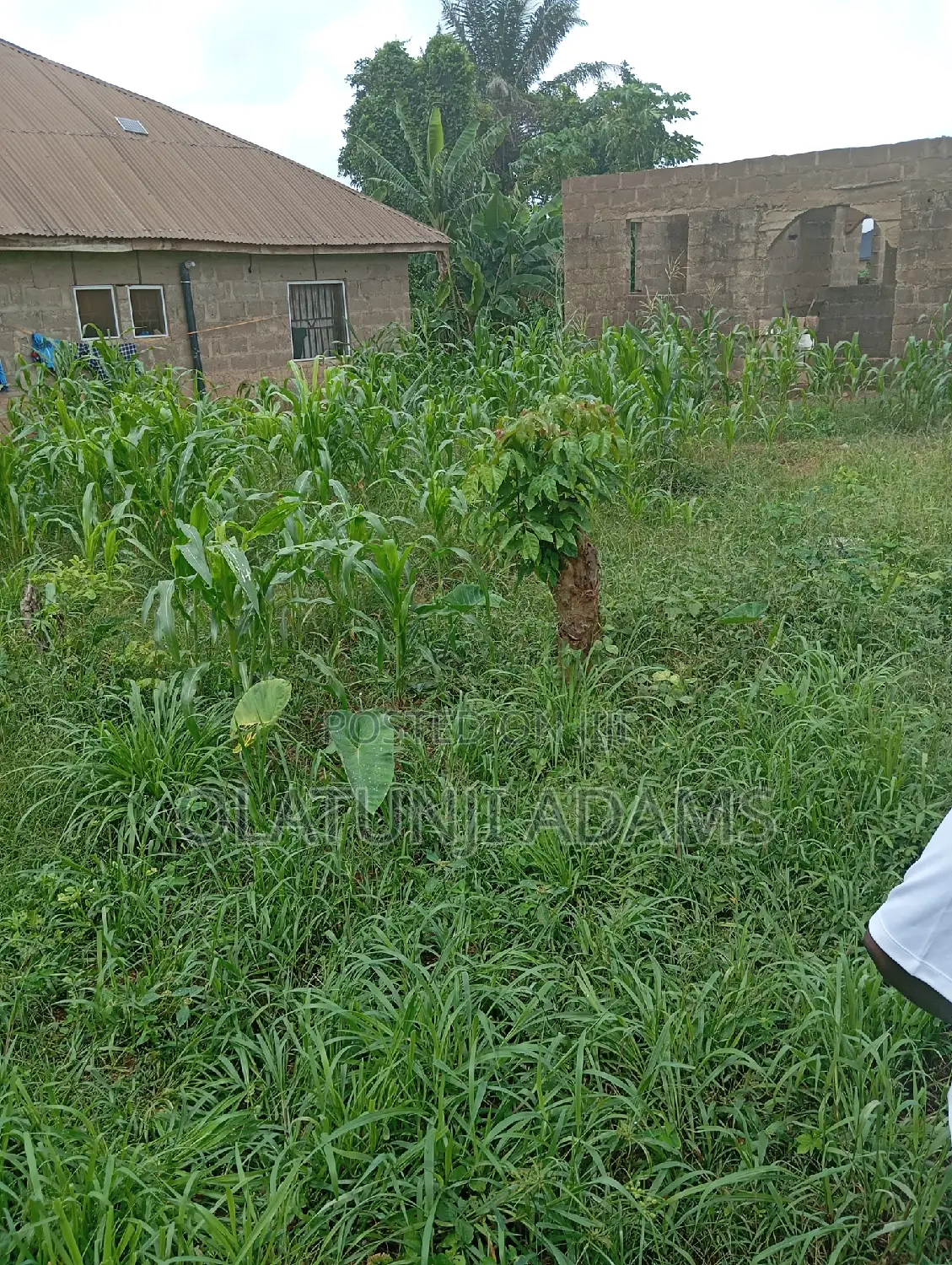 4plots of Land Located at Ringroad Osogbo