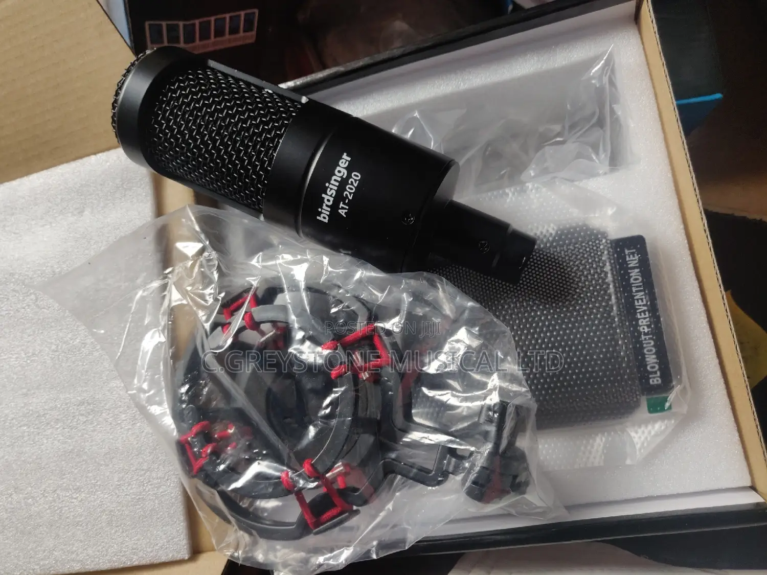 At- 2020 Birdsinger Studio Microphone