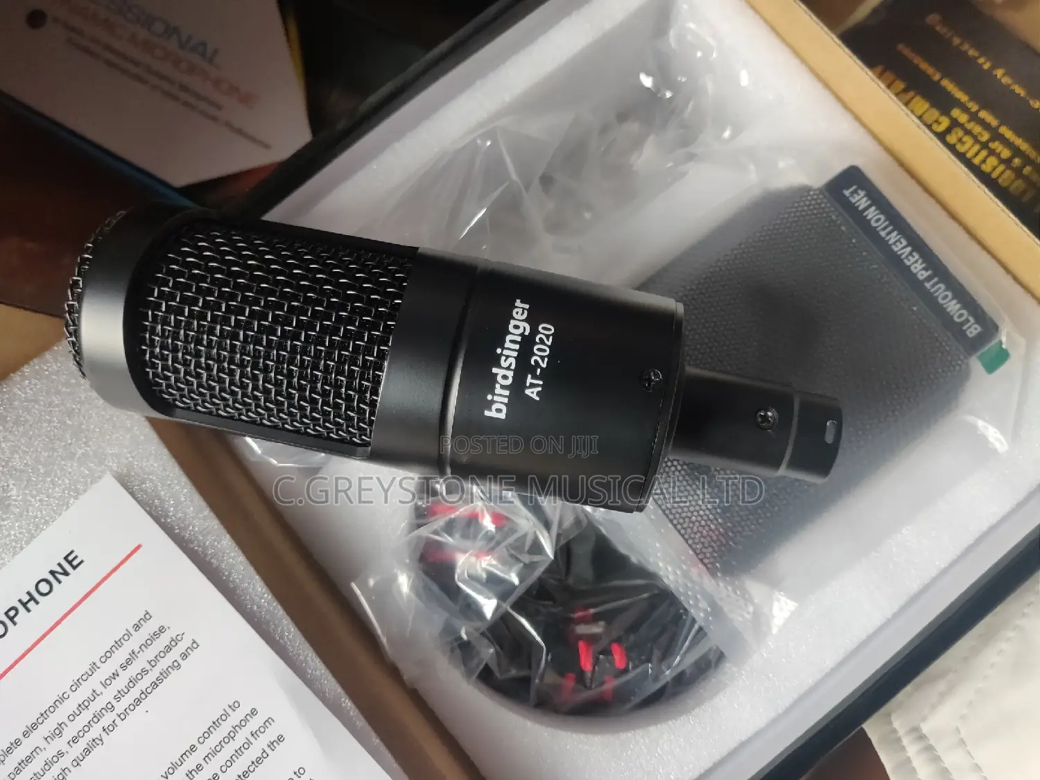 At- 2020 Birdsinger Studio Microphone