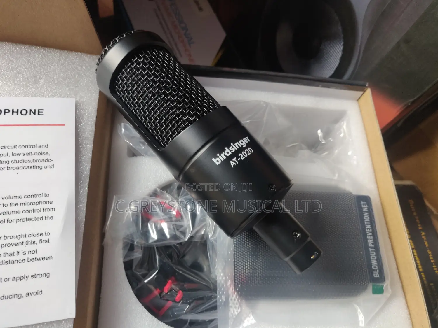 Studio Mic AT 2020 Birdsinger 