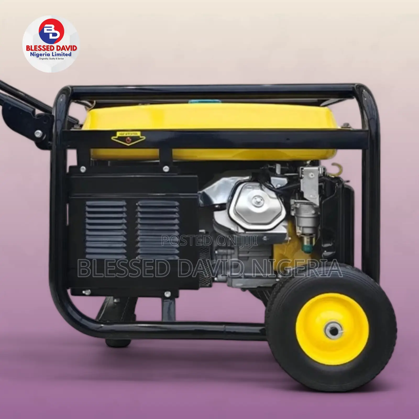 Senwei SV22000E2, 5.5kva Generator With Remote Control