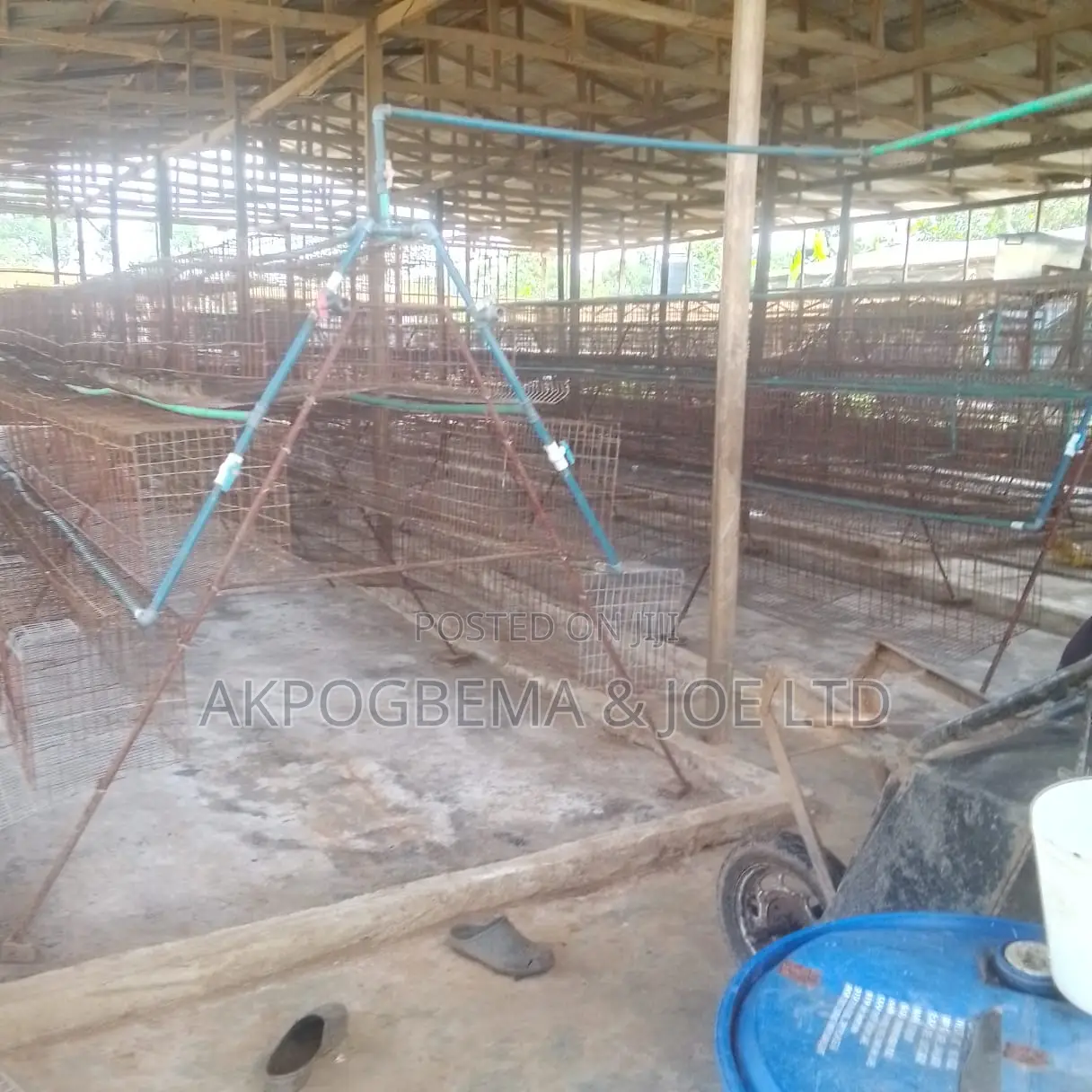Poultry Farms Lagos