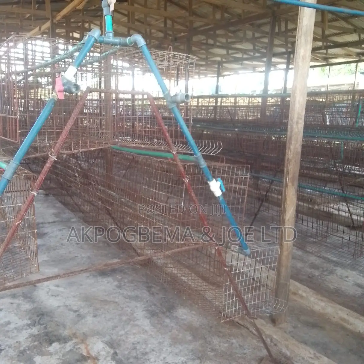 Poultry Farms Lagos