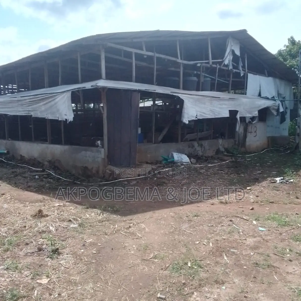 Poultry Farms Lagos