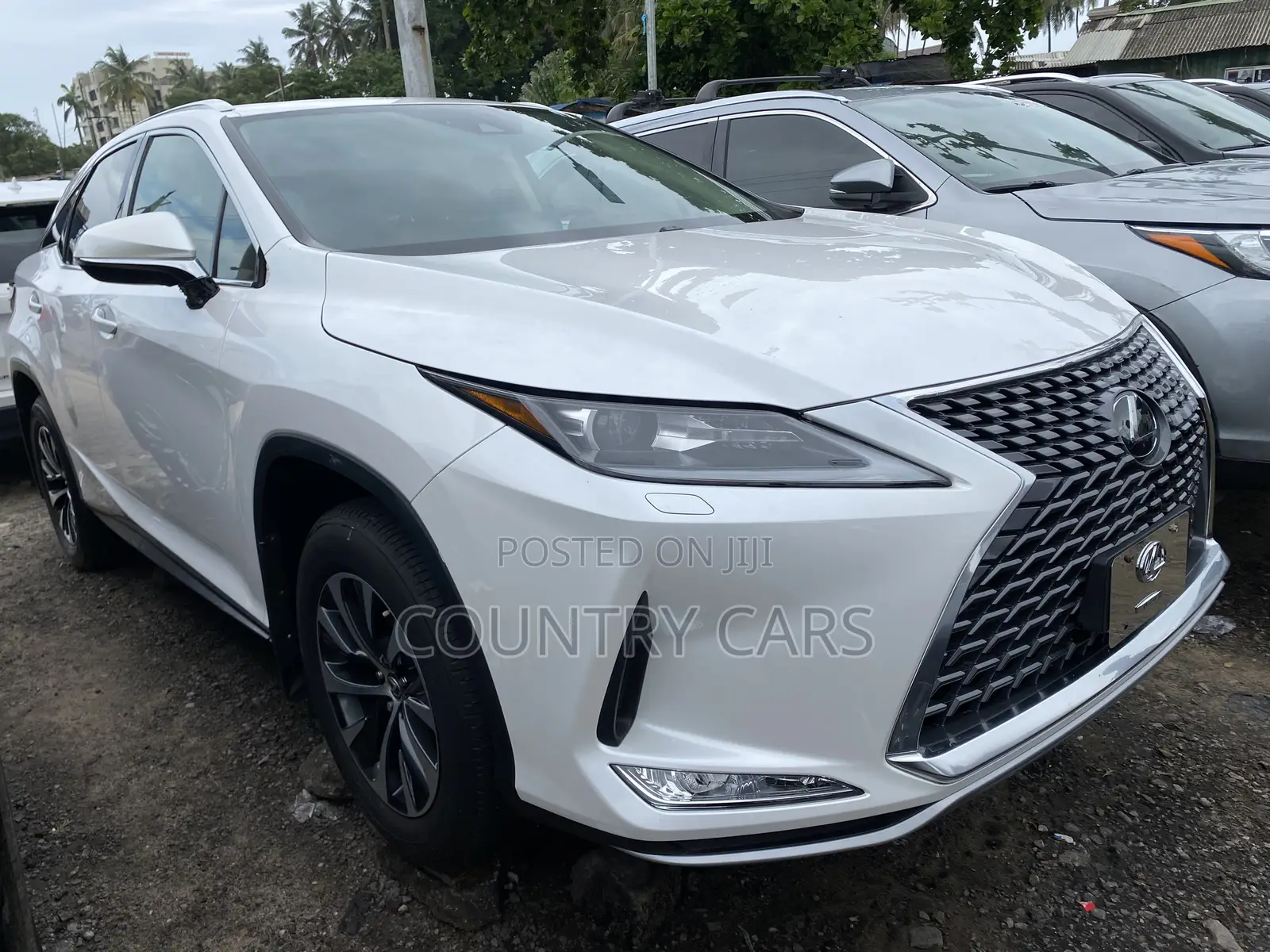 Lexus RX 2022 White