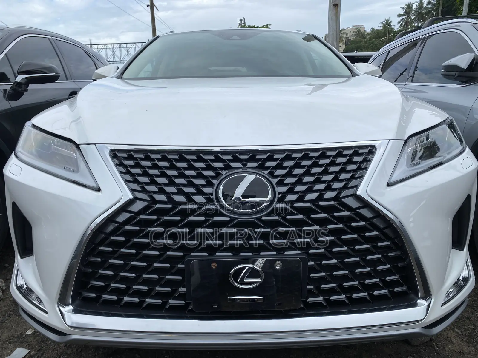 Lexus RX 2022 White