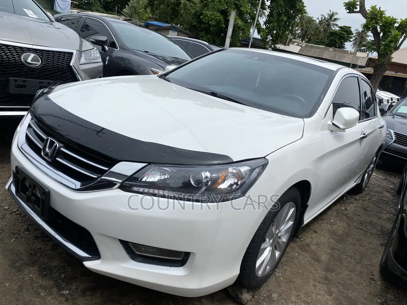 Honda Accord EX-L V-6 4dr Sedan (3.5L 6cyl 6A) 2014 White