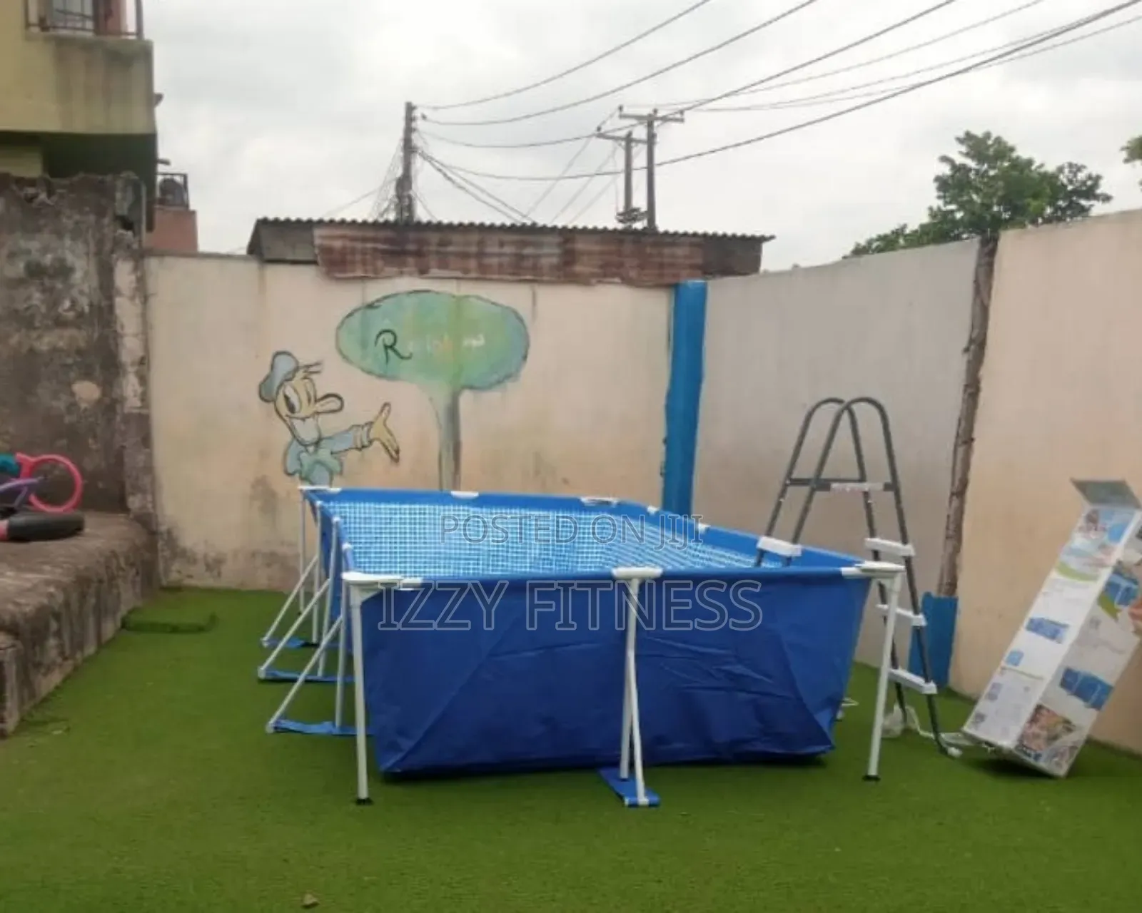 10 Ft Movable Swimming Pool