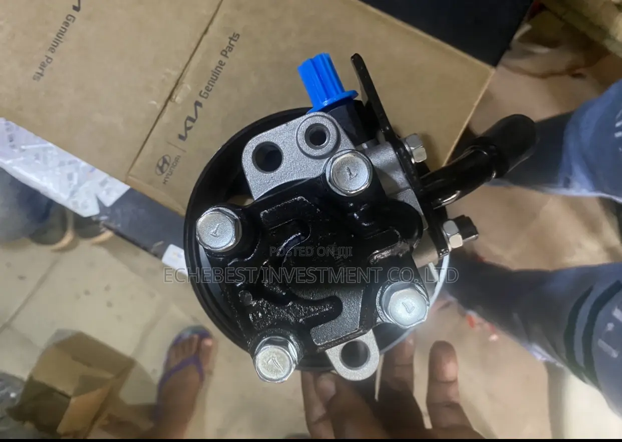 Quality Steering Pump for Hyundai Santa Fe 2008, 2009