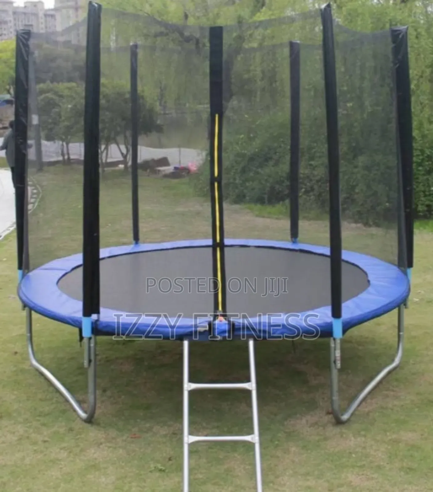 Trampoline With Ladder  10ft