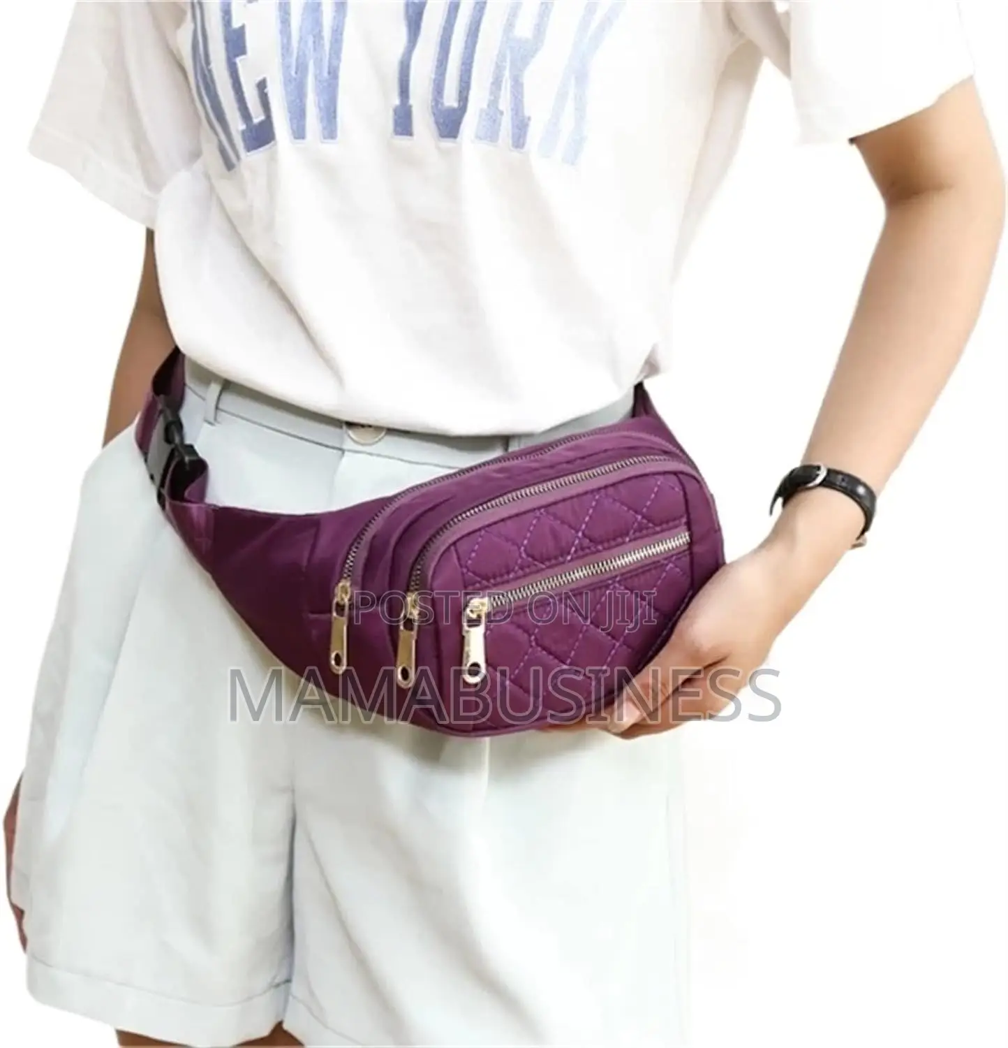 Waist/Travel Bags