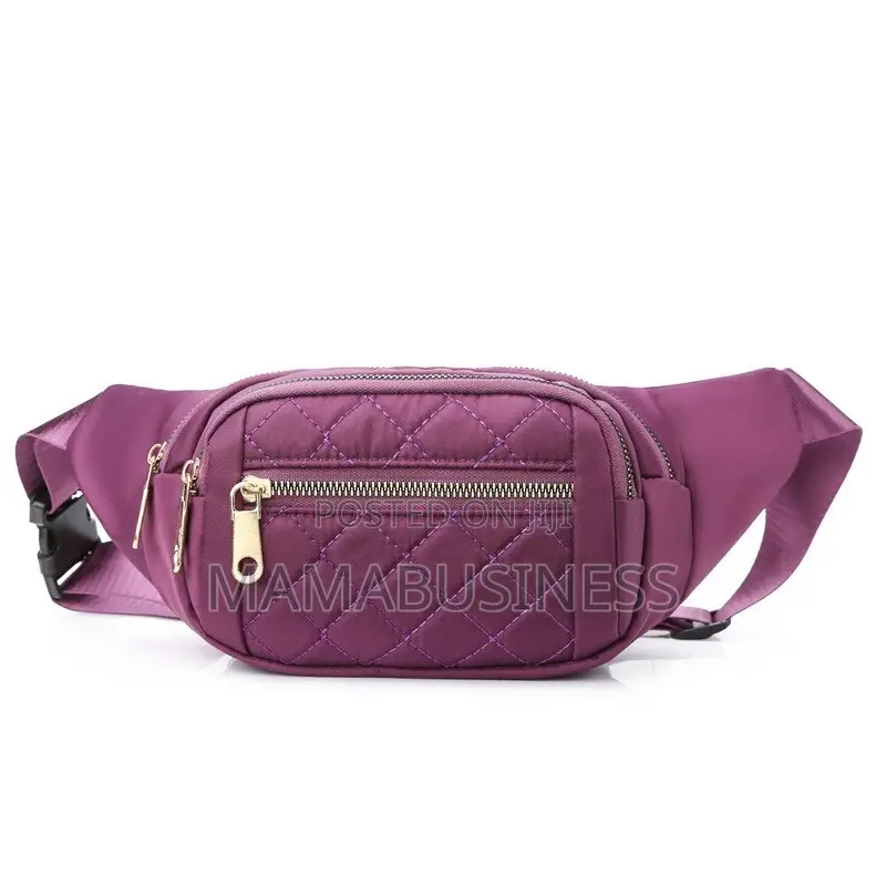Waist/Travel Bags