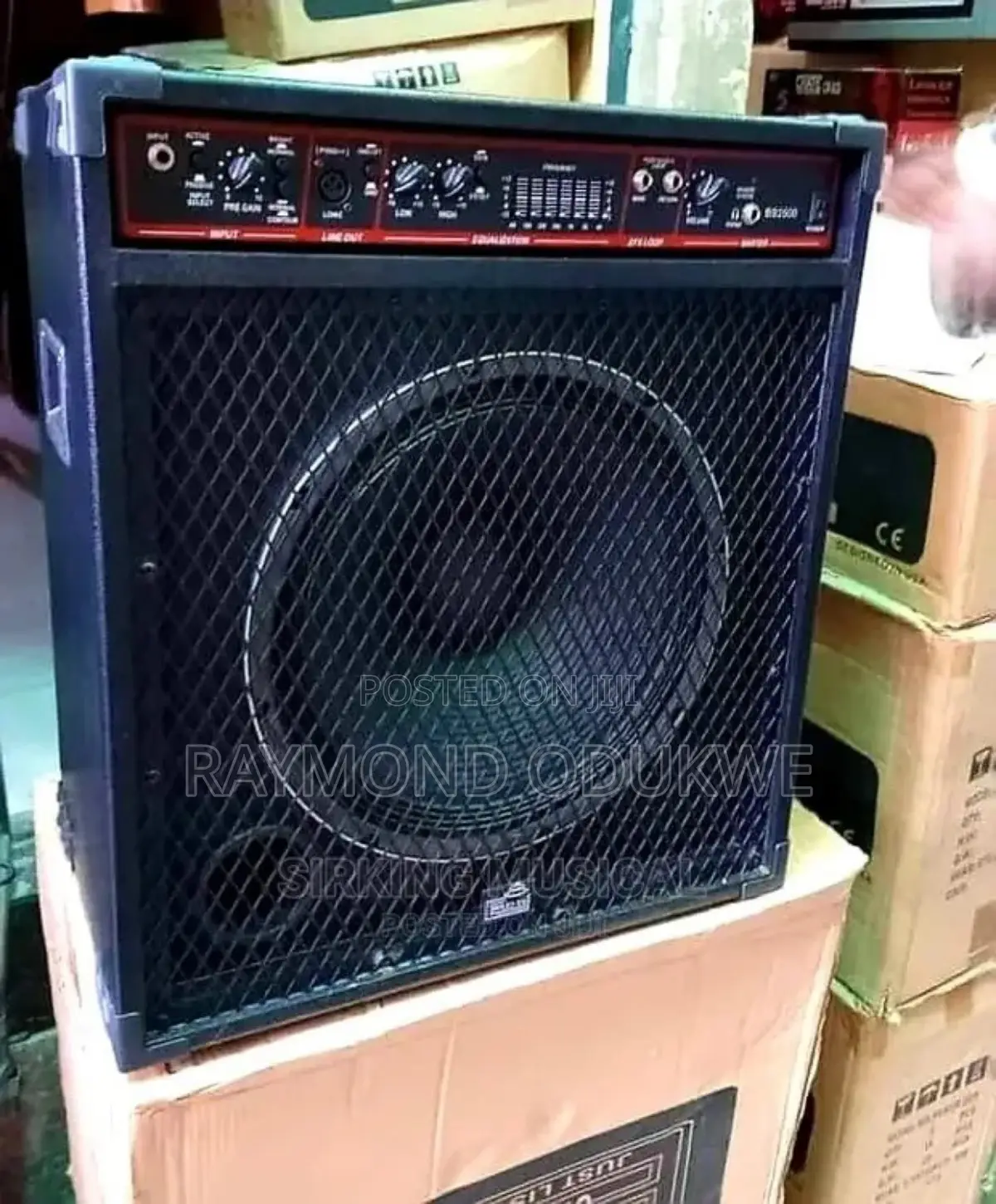 Professional Bass Guitar Combo Speaker