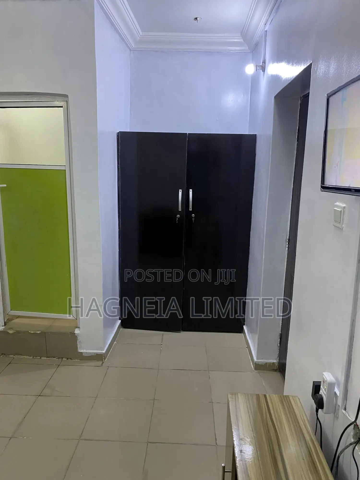 Luxurious Furnished Apartment