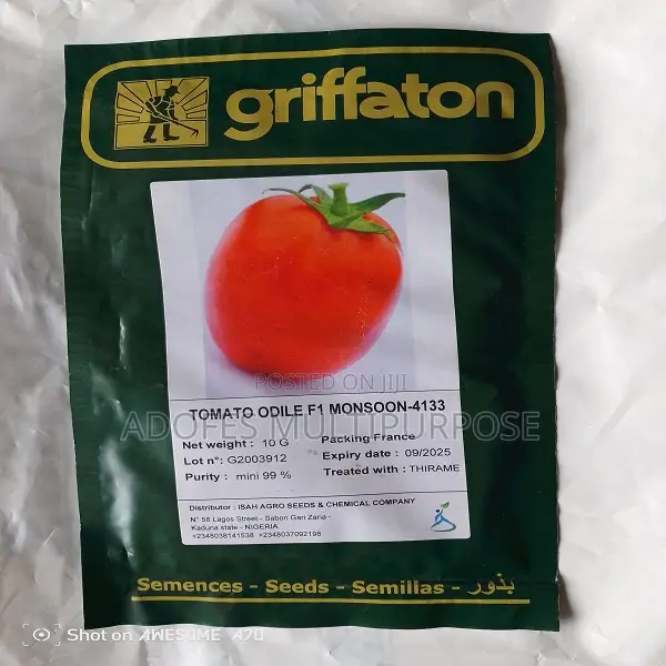 F1 Tomatoes Seeds Odile F1 10G
