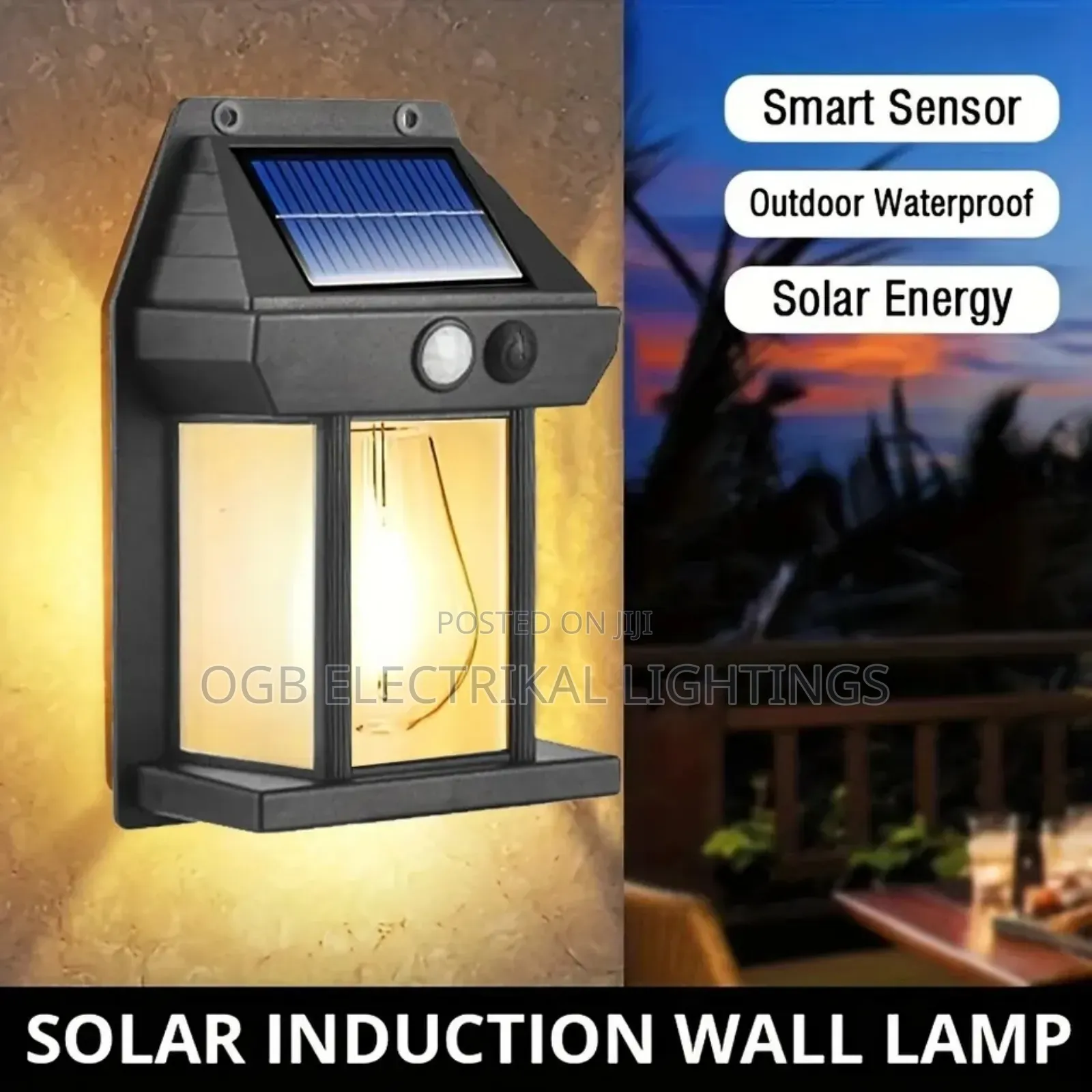 Outdoor Solar Light