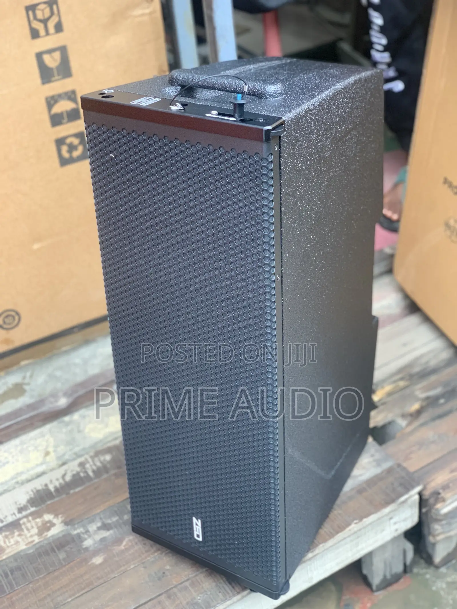 ZED Double 10 Inchs Line Array