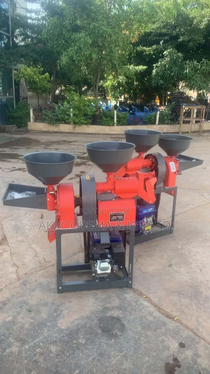 Mini Rice Miller Machine