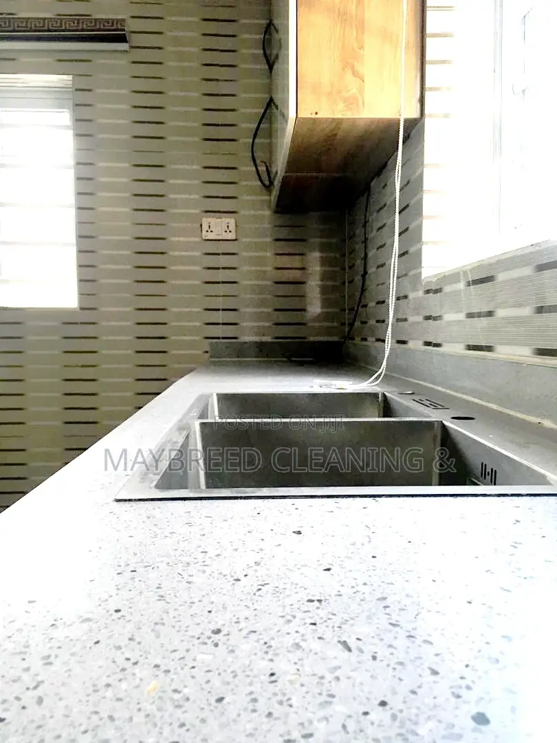 Satisfying House Cleaning Serviceee