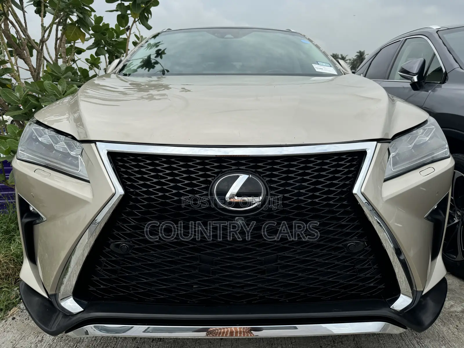 Lexus RX 350 AWD 2019 Gold