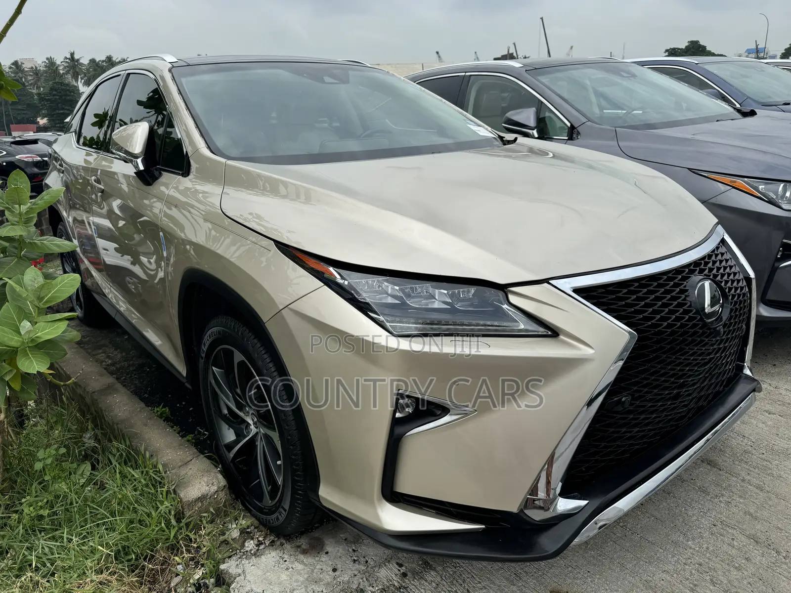 Lexus RX 350 AWD 2019 Gold