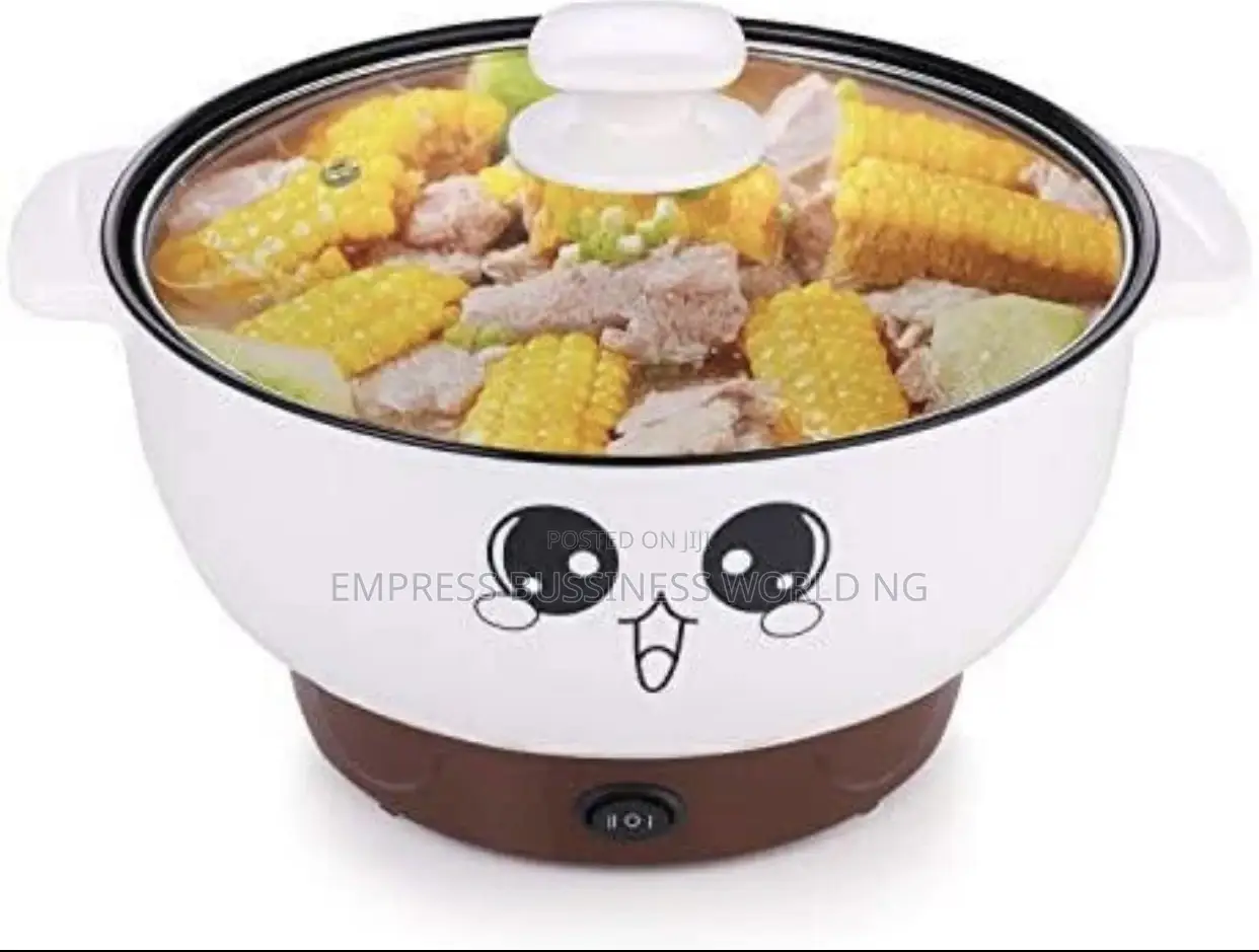 Multifunctional Electric Cooker With Steamer 24cm And 20cm