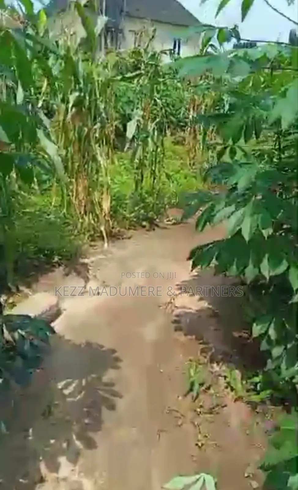 For Sale : Two (2) Plots at Cedarwood Est , Ph