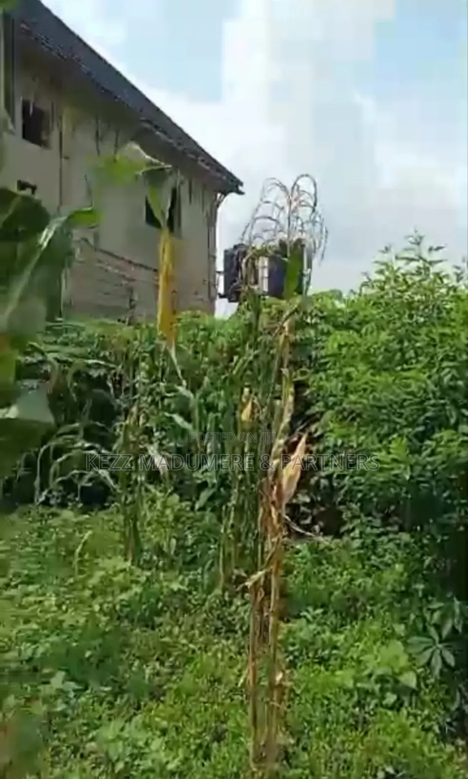 For Sale : Two (2) Plots at Cedarwood Est , Ph