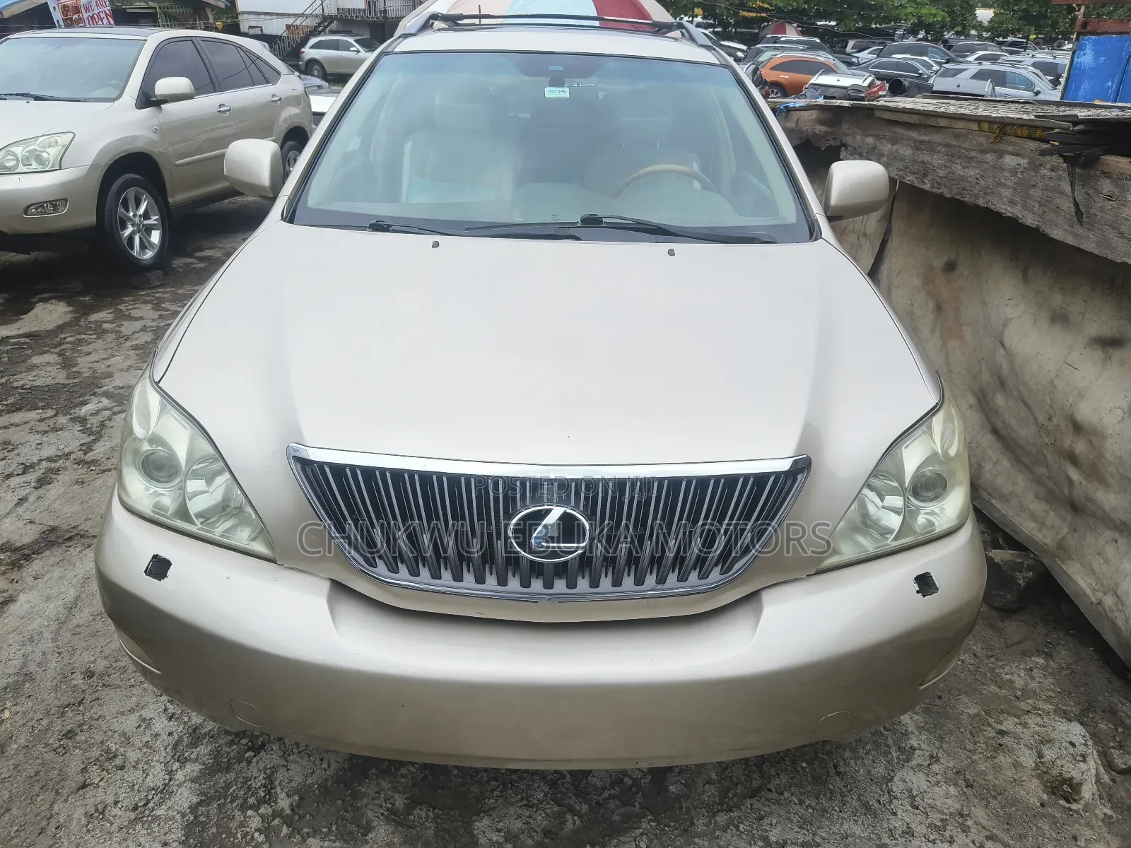 Lexus RX 330 2005 Gold
