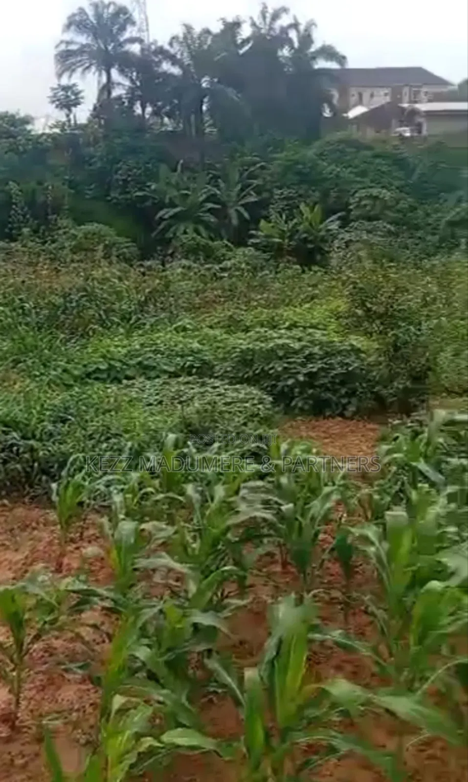 For Land : 4 Plots on Major Sars Road