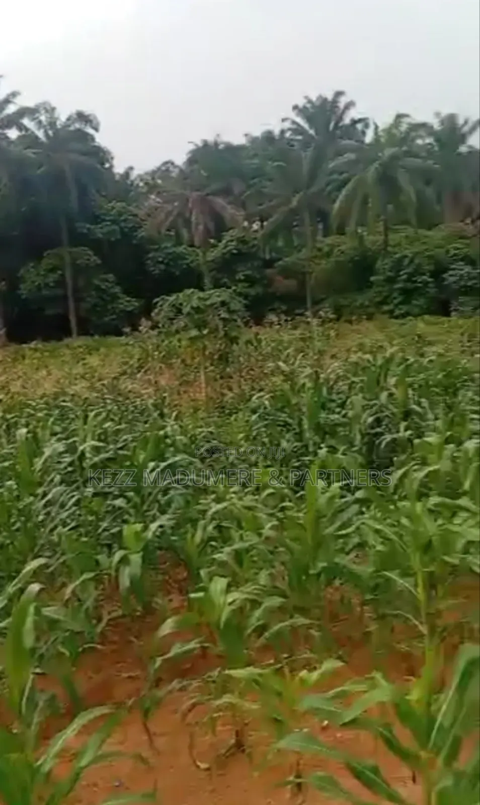 For Land : 4 Plots on Major Sars Road