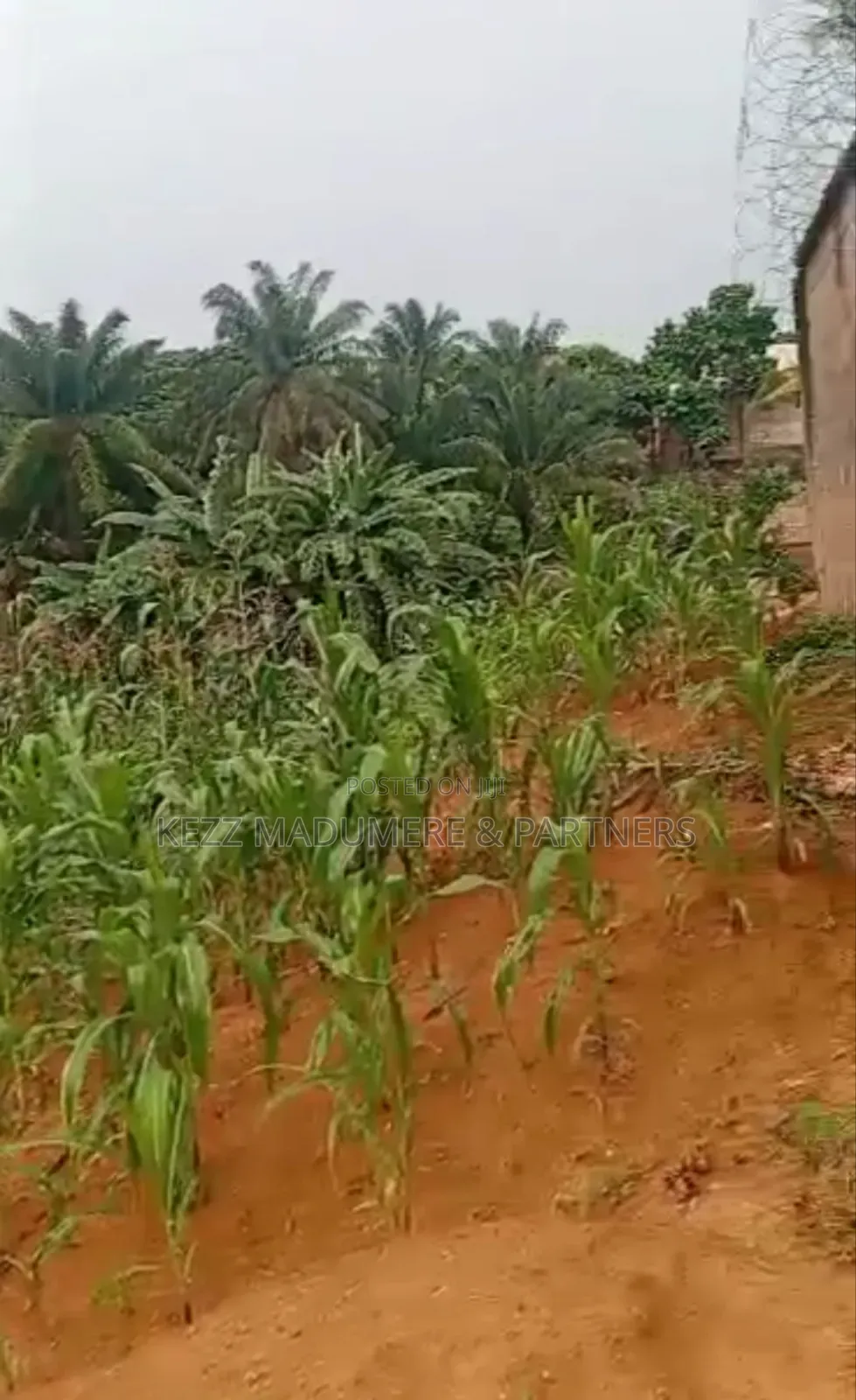 For Land : 4 Plots on Major Sars Road